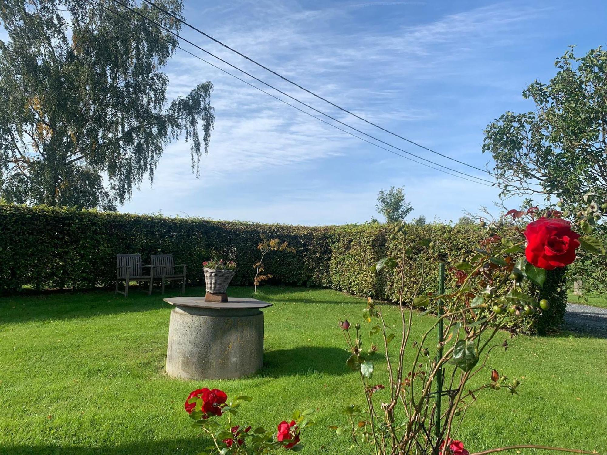 Pretty Farmhouse In Houffalize With Courtyard エクステリア 写真