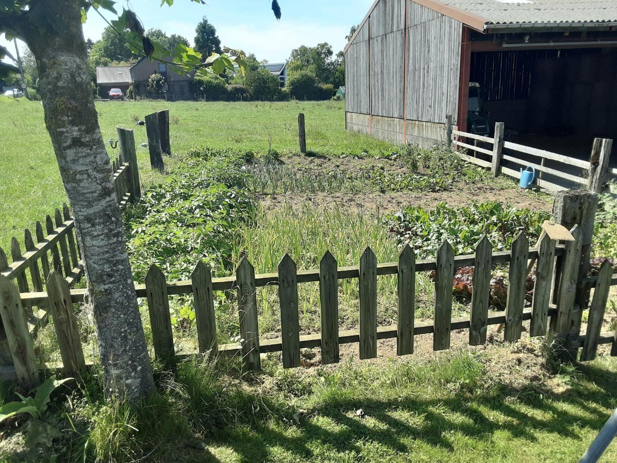 Pretty Farmhouse In Houffalize With Courtyard エクステリア 写真